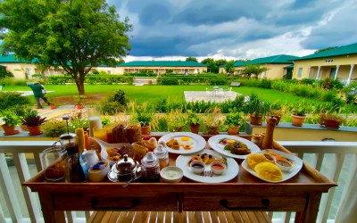WHY SARISKA MANOR IS THE PERFECT ACCOMMODATION IN SARISKA TIGER RESERVE IN RAJASTHAN