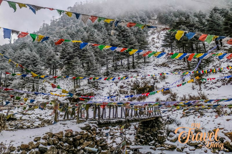 20 Reasons Why You Should Travel to Northeast India with Holiday Scout