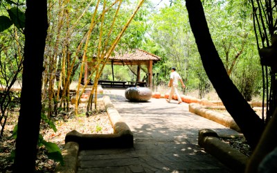 Taj Safaris Mahua Kothi & Bandhavgarh National Park in Madhya Pradesh