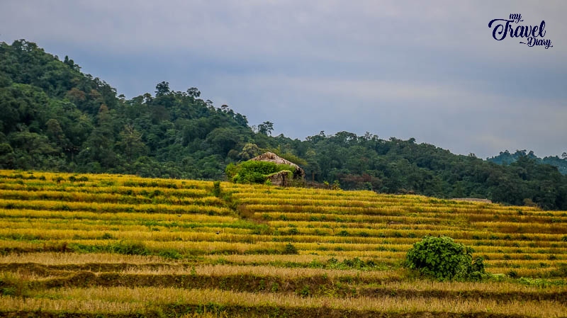 Step farming in Ledum Village_Arunachal Pradesh