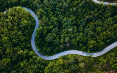 8 Reasons to Vacation in Pigeon Forge with the Family
