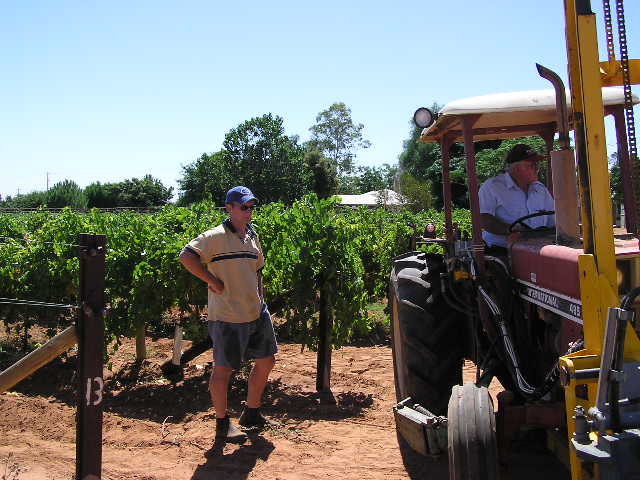 Bradley standing next to Peter on the tractor at the end of a row of vines