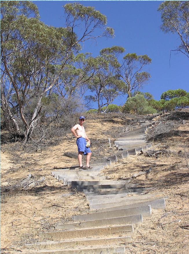 Walking up the steps to the lookout above Mount Crozier camping ground